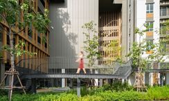 写真 3 of the Communal Garden Area at Lumpini Place Taopoon Interchange