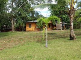  Land for sale in AsiaVillas, Aborlan, Palawan, Mimaropa, Philippines