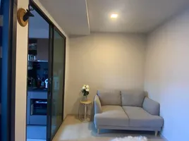1 Bedroom Condo for rent at The Tree Dindaeng - Ratchaprarop, Din Daeng