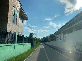  Land for sale in Renu Medical Clinic, San Kamphaeng, San Kamphaeng