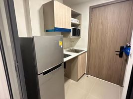 1 Bedroom Apartment for rent at The Muve Bangna, Bang Na, Bang Na