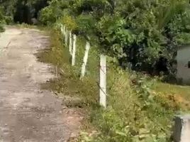  Land for sale in Pa Khlok, Thalang, Pa Khlok