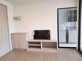 1 Schlafzimmer Appartement zu vermieten im Dcondo Reef Phuket, Kathu, Kathu, Phuket, Thailand