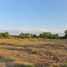  Land for sale in Udon Thani, Na Bua, Phen, Udon Thani