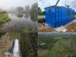  Grundstück zu verkaufen in Pa Sang, Lamphun, Tha Tum