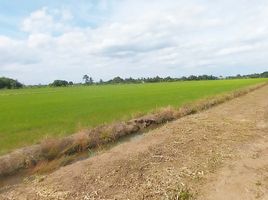  Grundstück zu verkaufen in Nong Suea, Pathum Thani, Bueng Bon, Nong Suea