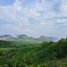  Grundstück zu verkaufen in Takua Thung, Phangnga, Khlong Khian