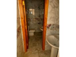 Studio Apartment for rent at Green Towers, Smouha, Hay Sharq, Alexandria
