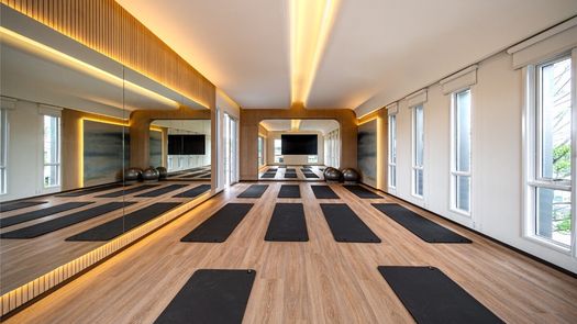 Фото 4 of the Yoga Area at Patta Element