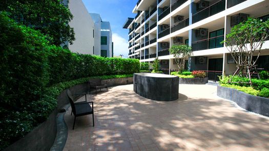 Photos 1 of the Communal Garden Area at The Unity Patong