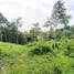  Grundstück zu verkaufen in Thalang, Phuket, Choeng Thale, Thalang, Phuket