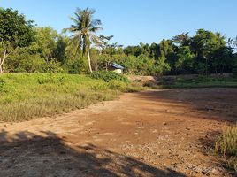  Land for sale in Krabi, Laem Sak, Ao Luek, Krabi