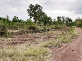  Land for sale in Phen, Udon Thani, Ban That, Phen