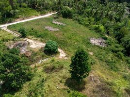  Land for sale in Maenam, Koh Samui, Maenam