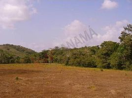  Land for sale in Penonome, Cocle, Toabre, Penonome