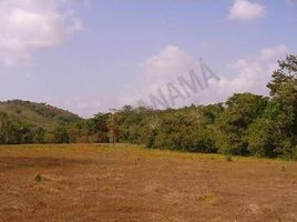  Land for sale in Cocle, Toabre, Penonome, Cocle