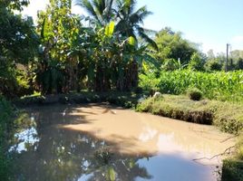  Grundstück zu verkaufen in Chiang Kham, Phayao, Ang Thong, Chiang Kham