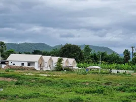 2 Schlafzimmer Haus zu verkaufen in Hang Dong, Chiang Mai, Nam Phrae, Hang Dong