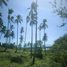  Land for sale in Maenam, Koh Samui, Maenam