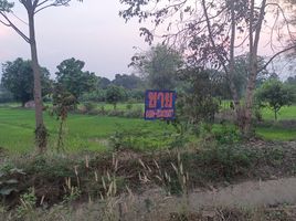  Земельный участок for sale in Кхонкен, Sila, Mueang Khon Kaen, Кхонкен