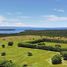  Land for sale in Sumba Timur East Nusa Tenggara, Pandawai, Sumba Timur, East Nusa Tenggara