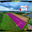  Land for sale in Nikhom Phatthana Rayong, Makham Khu