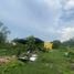 ขายที่ดิน ใน เมืองปทุมธานี ปทุมธานี, หลักหก