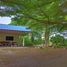  Land for sale in Pak Chong Nakhon Ratchasima, Khanong Phra, Pak Chong, Nakhon Ratchasima