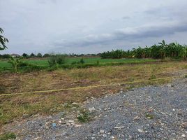 Land for sale in Bang Bua Thong, Nonthaburi, Bang Khu Rat, Bang Bua Thong