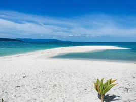  Grundstück zu verkaufen in Koh Samui, Surat Thani, Taling Ngam