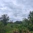 Land for sale in Sarapiqui Heredia, Sarapiqui