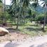  Земельный участок for sale in Khanom, Nakhon Si Thammarat, Khanom