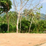  Land for sale in Klong Son Bus Station, Ko Chang, Ko Chang