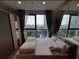 1 Schlafzimmer Appartement zu vermieten im Ideo Mobi Sukhumvit 81, Bang Chak