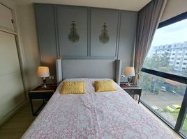 Studio Condo for rent at Dlux Condominium , Chalong