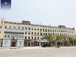 Studio Villa zu verkaufen in Ha Long, Quang Ninh, Dai Yen, Ha Long, Quang Ninh