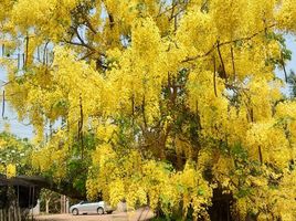  Grundstück zu verkaufen in Mueang Nakhon Pathom, Nakhon Pathom, Suan Pan