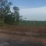  Land for sale in Pathum Thani, Bueng Ba, Nong Suea, Pathum Thani