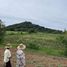  Land for sale in Pak Chong Nakhon Ratchasima, Mu Si, Pak Chong, Nakhon Ratchasima