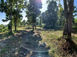  Land for sale in Chiang Mai, Nam Phrae, Hang Dong, Chiang Mai