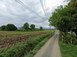  Grundstück zu verkaufen in Doi Saket, Chiang Mai, Pa Pong