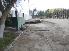  Land for sale in Huaral, Huaral, Huaral