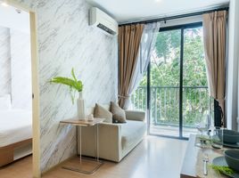 1 Bedroom Condo for rent at Zcape X2, Choeng Thale, Thalang