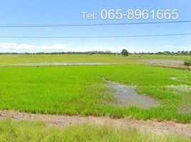  Land for sale in Don Thong, Sena, Don Thong