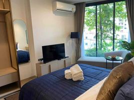 1 Bedroom Condo for rent at EDGE Central Pattaya, Nong Prue, Pattaya, Chon Buri