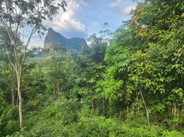  Grundstück zu verkaufen in Nong Thale, Krabi, Nong Thale