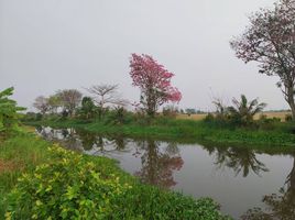  Land for sale in Bang Toei, Mueang Chachoengsao, Bang Toei