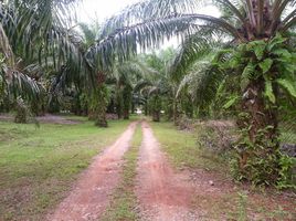  Land for sale in Khura Buri, Phangnga, Bang Wan, Khura Buri