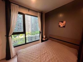 Studio Apartment for rent at Life Asoke Hype, Makkasan