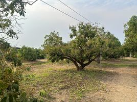  Land for sale in Chiang Mai, Nong Tong, Hang Dong, Chiang Mai